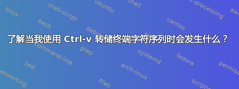 了解当我使用 Ctrl-v 转储终端字符序列时会发生什么？