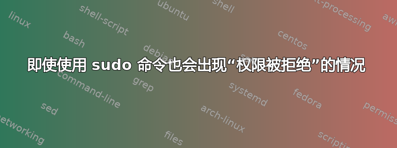 即使使用 sudo 命令也会出现“权限被拒绝”的情况