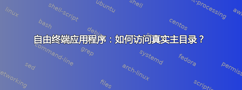 自由终端应用程序：如何访问真实主目录？