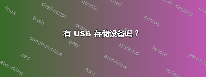 有 USB 存储设备吗？