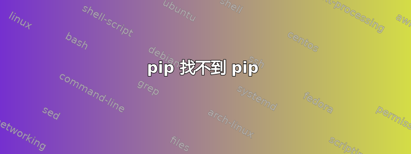 pip 找不到 pip