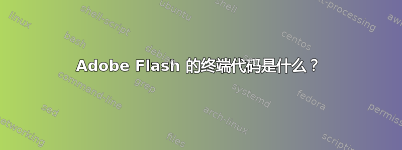 Adobe Flash 的终端代码是什么？