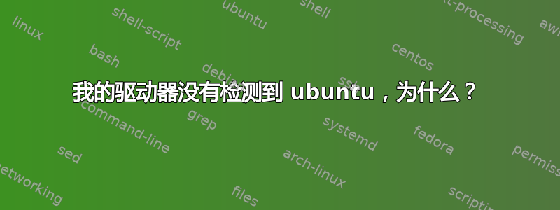 我的驱动器没有检测到 ubuntu，为什么？