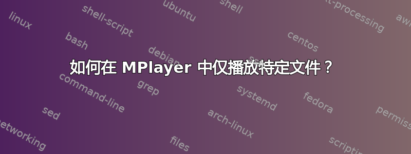 如何在 MPlayer 中仅播放特定文件？