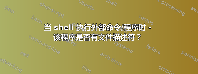 当 shell 执行外部命令/程序时 - 该程序是否有文件描述符？