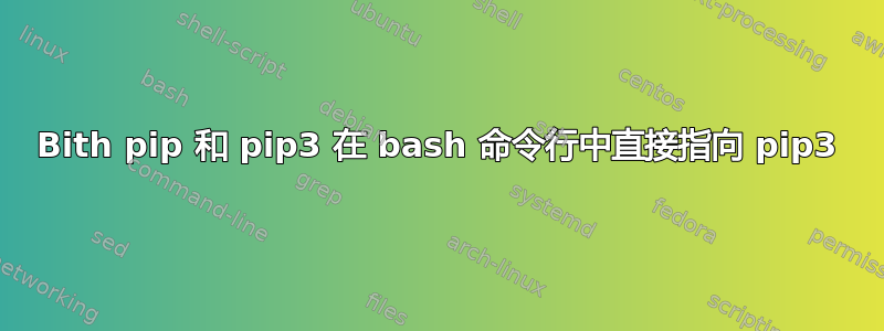 Bith pip 和 pip3 在 bash 命令行中直接指向 pip3