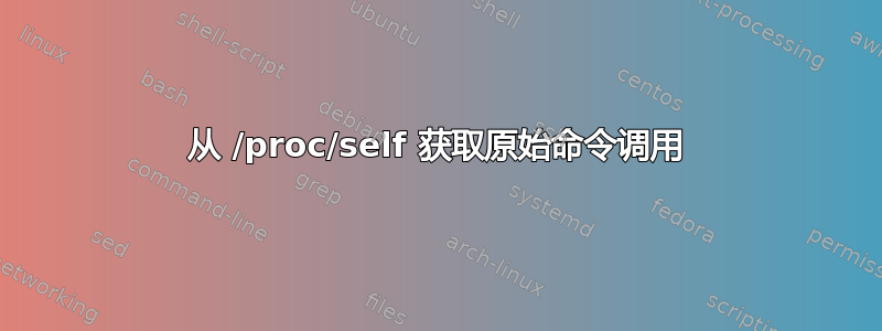 从 /proc/self 获取原始命令调用