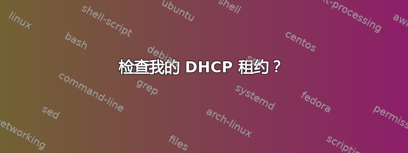 检查我的 DHCP 租约？