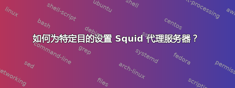 如何为特定目的设置 Squid 代理服务器？