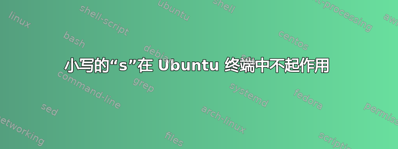 小写的“s”在 Ubuntu 终端中不起作用