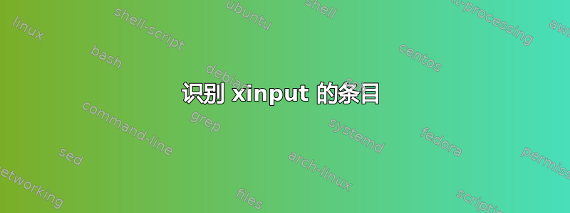 识别 xinput 的条目