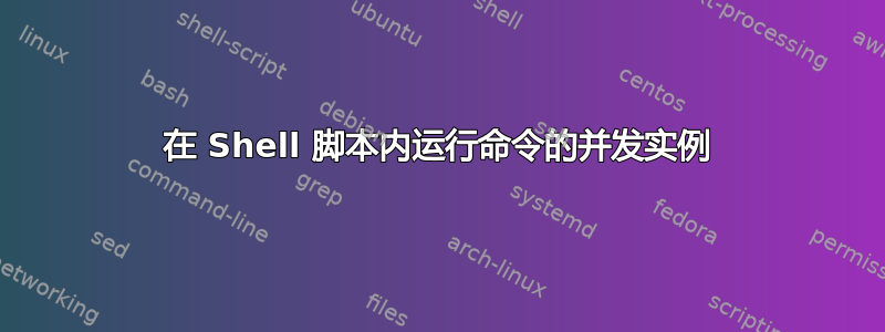 在 Shell 脚本内运行命令的并发实例