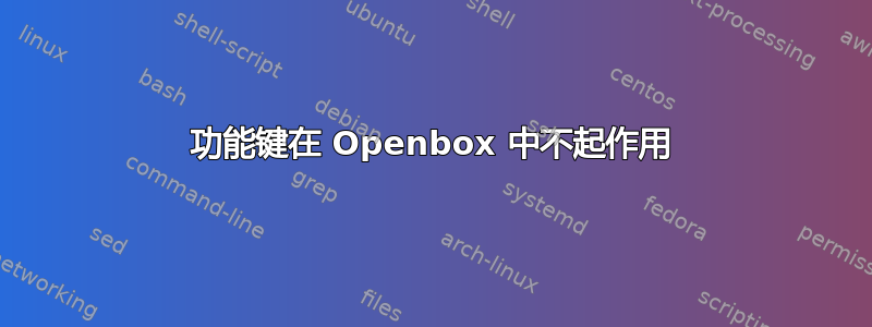 功能键在 Openbox 中不起作用