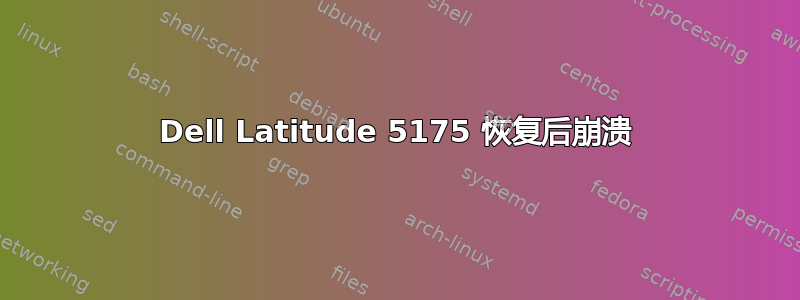 Dell Latitude 5175 恢复后崩溃