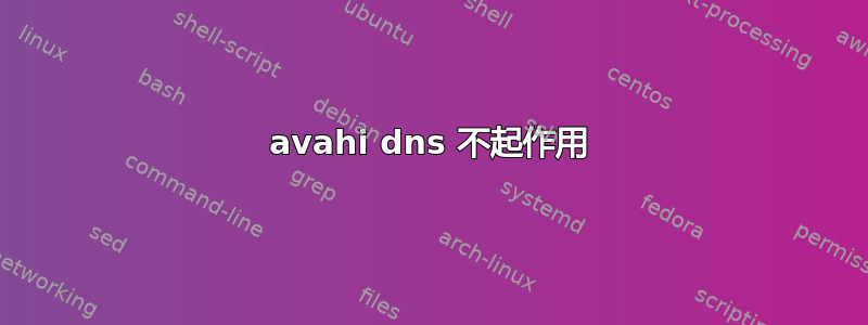 avahi dns 不起作用