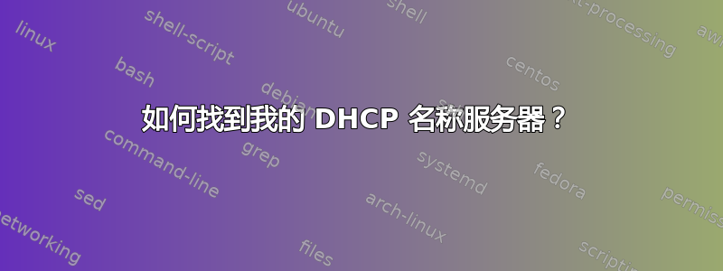 如何找到我的 DHCP 名称服务器？