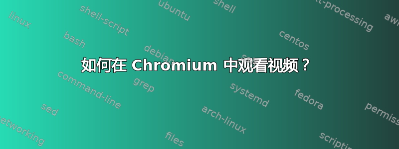 如何在 Chromium 中观看视频？