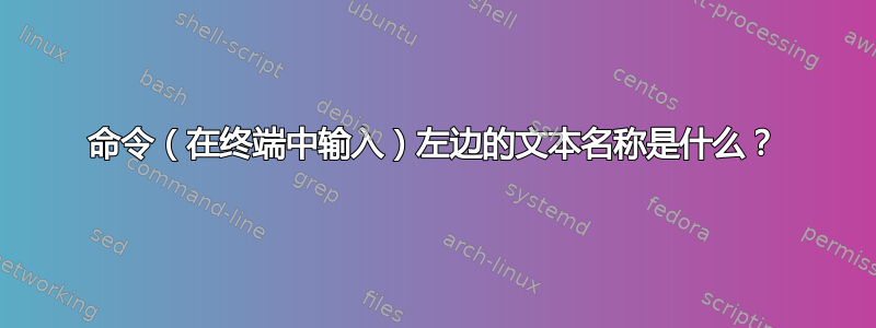 命令（在终端中输入）左边的文本名称是什么？