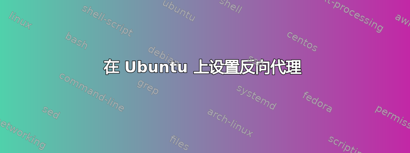 在 Ubuntu 上设置反向代理