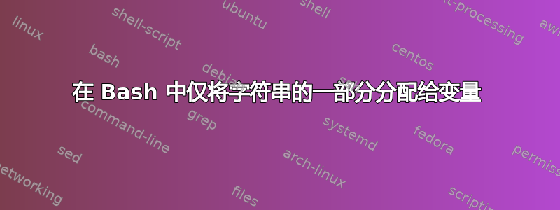 在 Bash 中仅将字符串的一部分分配给变量