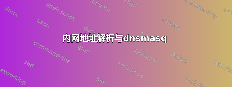 内网地址解析与dnsmasq