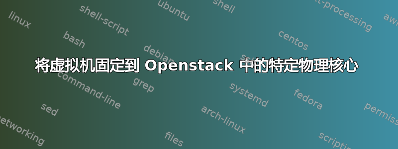 将虚拟机固定到 Openstack 中的特定物理核心