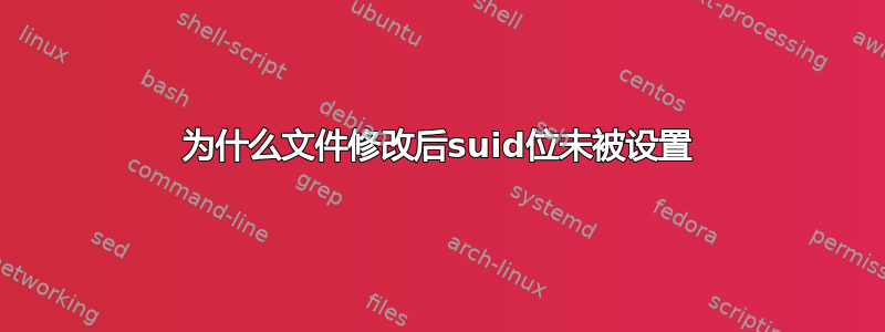 为什么文件修改后suid位未被设置