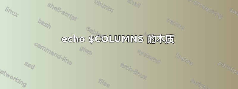 echo $COLUMNS 的本质