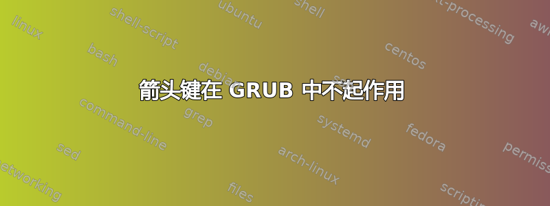 箭头键在 GRUB 中不起作用