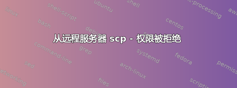 从远程服务器 scp - 权限被拒绝