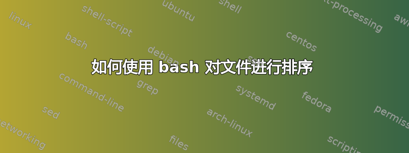 如何使用 bash 对文件进行排序