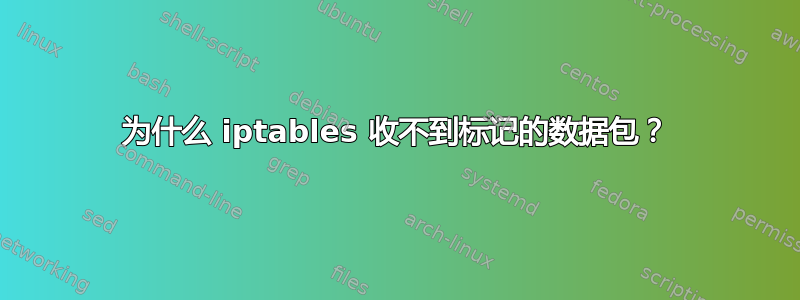 为什么 iptables 收不到标记的数据包？