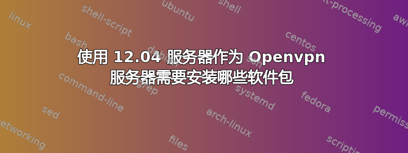 使用 12.04 服务器作为 Openvpn 服务器需要安装哪些软件包