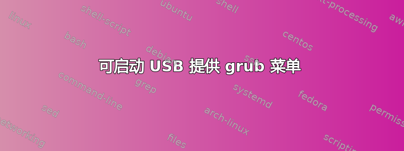 可启动 USB 提供 grub 菜单