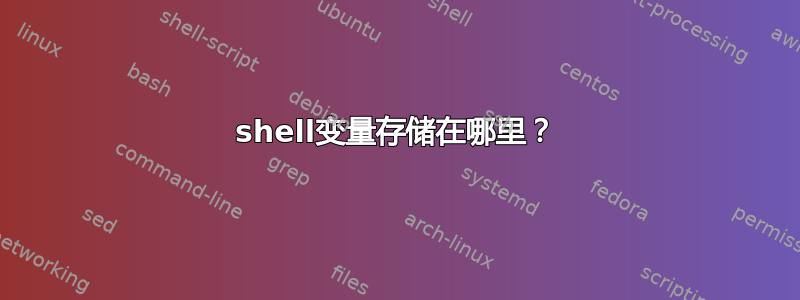 shell变量存储在哪里？