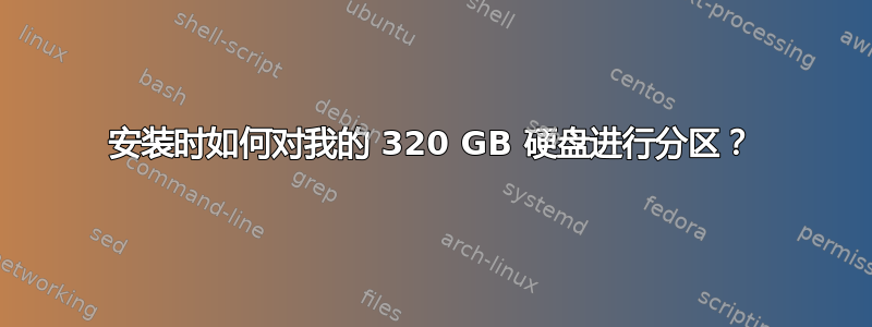 安装时如何对我的 320 GB 硬盘进行分区？