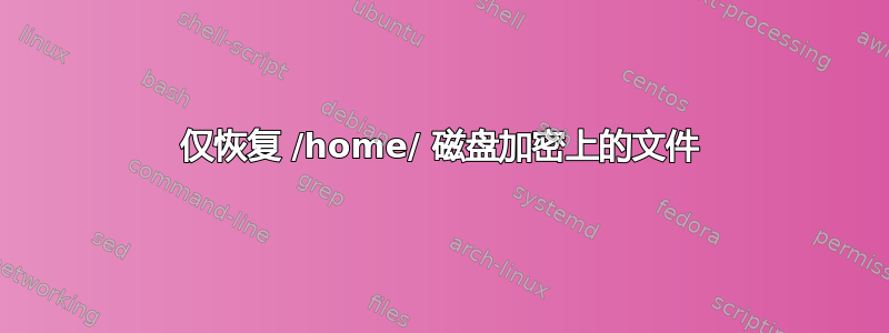 仅恢复 /home/ 磁盘加密上的文件