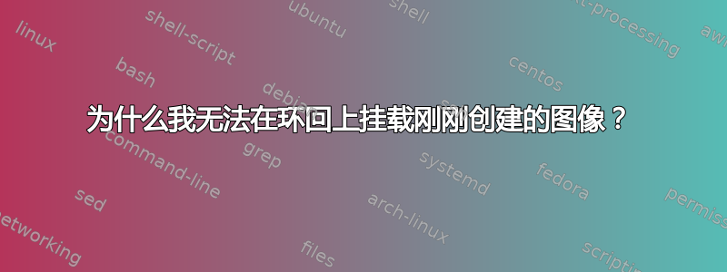 为什么我无法在环回上挂载刚刚创建的图像？