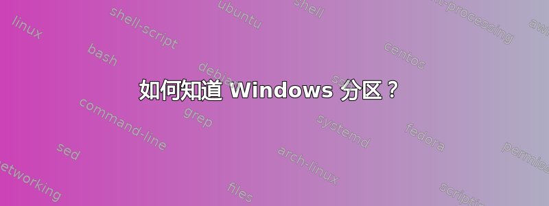 如何知道 Windows 分区？