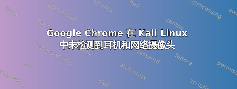 Google Chrome 在 Kali Linux 中未检测到耳机和网络摄像头