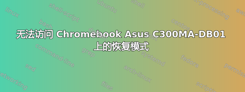 无法访问 Chromebook Asus C300MA-DB01 上的恢复模式