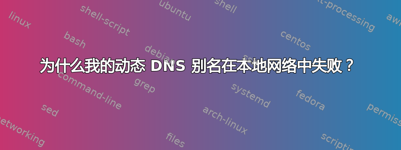 为什么我的动态 DNS 别名在本地网络中失败？