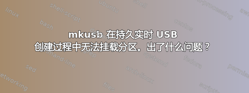 mkusb 在持久实时 USB 创建过程中无法挂载分区。出了什么问题？