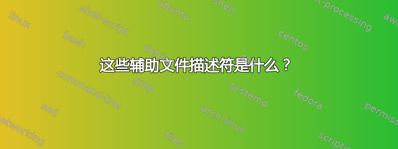 这些辅助文件描述符是什么？