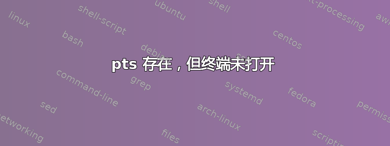 pts 存在，但终端未打开