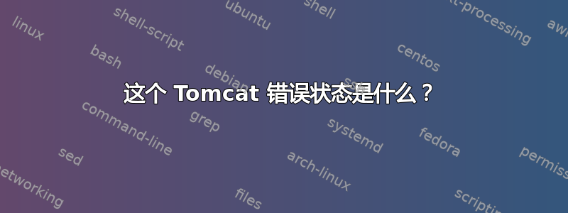 这个 Tomcat 错误状态是什么？