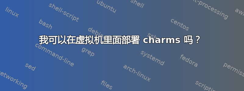 我可以在虚拟机里面部署 charms 吗？