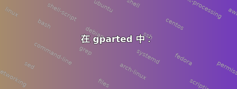 在 gparted 中：