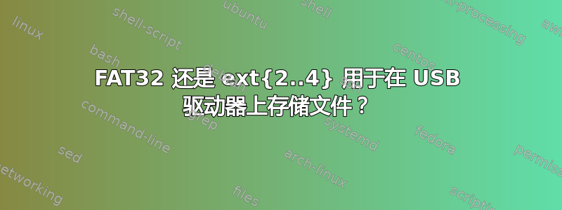 FAT32 还是 ext{2..4} 用于在 USB 驱动器上存储文件？