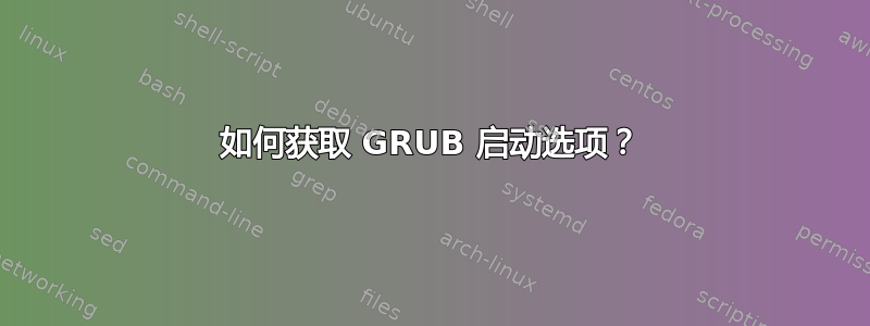 如何获取 GRUB 启动选项？